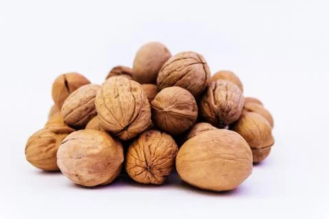 Walnut slide on a white background Stock Photos