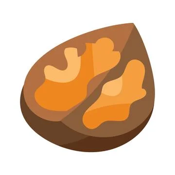 Walnut Split In Half Nut Shell With Ripe Core Icon Stock Illustration