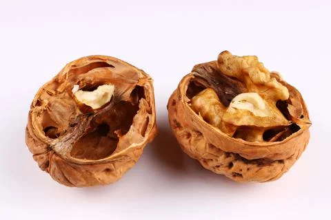 Walnut split on a white background 库存照片