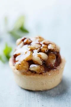 Walnut tart Stock-Fotos