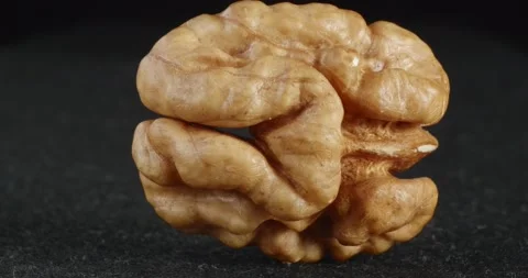 Walnut texture close-up. Macro nut kernels. Stock Footage 166083301