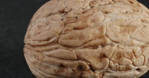 Walnut texture close-up. Macro nut . Видео 166083534