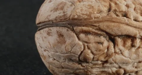 Walnut texture close-up. Macro nut . Stockbeeldmateriaal 166496719