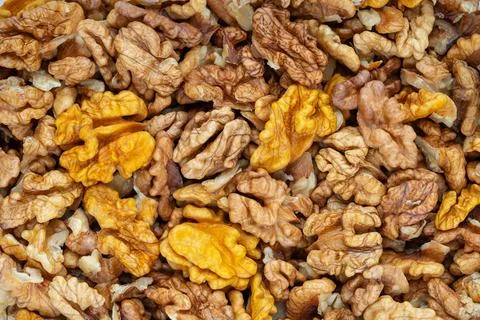 Walnut texture. Peeled kernels background. Stock Photos