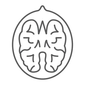 Walnut thin line icon, vegetable and nut Stock Illustration