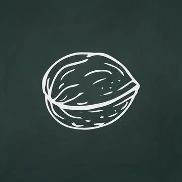 Walnut thin white lines on a textural dark background - Vector Stock Illustration