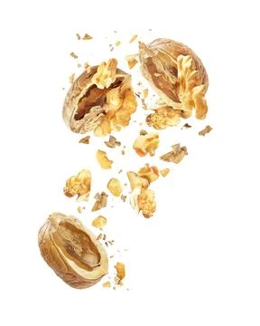 Walnut is torn to pieces  close-up, isolated on white background Stock Photos