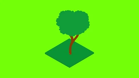 Walnut tree icon animation Stock Footage 152576632