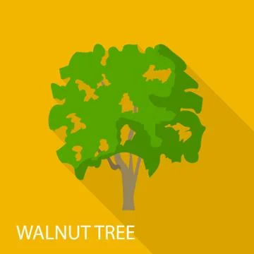 Walnut tree icon, flat style Stock Illustration