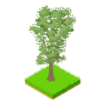 Walnut tree icon, isometric style Stock Illustration
