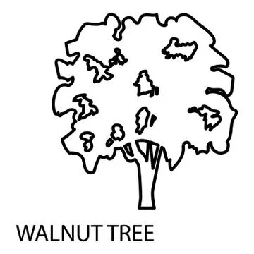Walnut tree icon, outline style Stock Illustration