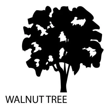 Walnut tree icon, simple style Stock Illustration