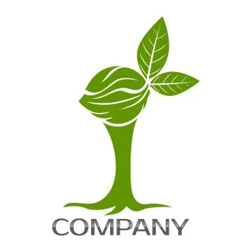 Walnut tree logo Stock Illustration
