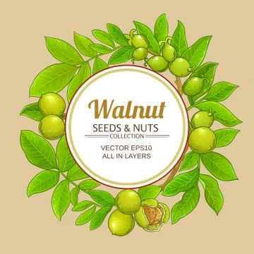 Walnut vector frame Stock Illustration