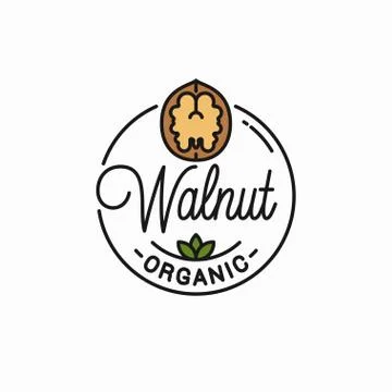 Walnut vector logo. Round linear of walnut Stock Illustration