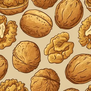 Walnut vector pattern Illustrazione stock