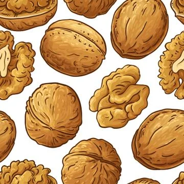 Walnut vector pattern Stock Illustration