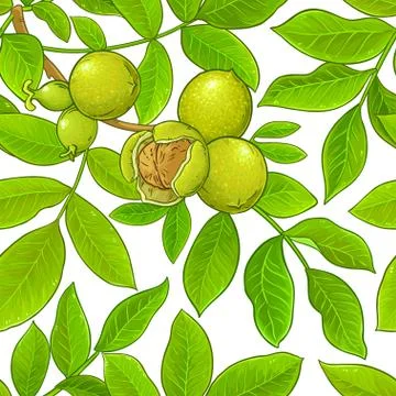 Walnut vector pattern Stock Illustration