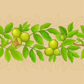 Walnut vector pattern Stock Illustration