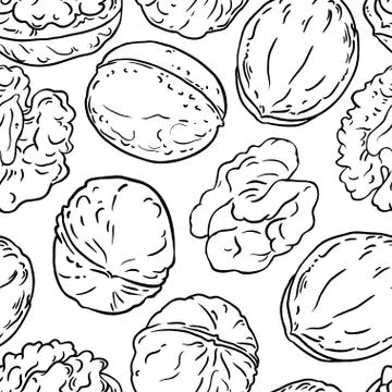 Walnut vector pattern イラスト素材