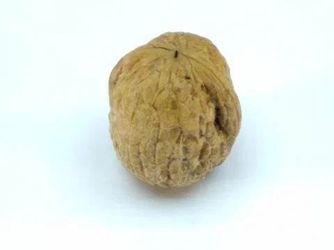 Walnut. Walnut kernel. Nut isolated on white. With clipping path. Stock Photos