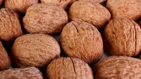 Walnut walnuts with shell Stock Footage 97165656