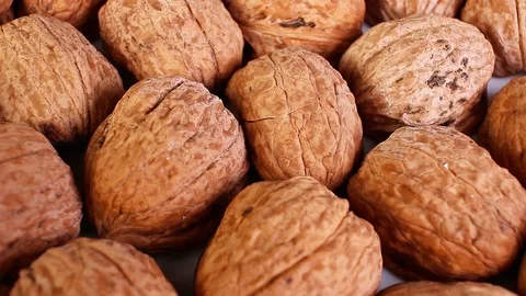 Walnut walnuts with shell Video stock 97165903
