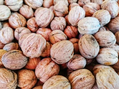 Walnut. walnuts in shell Stock Photos