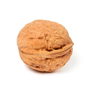 Walnut on white background. Close-up view. Stock Photos