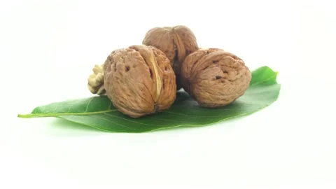 Walnut on a white background 스톡 동영상 213264425