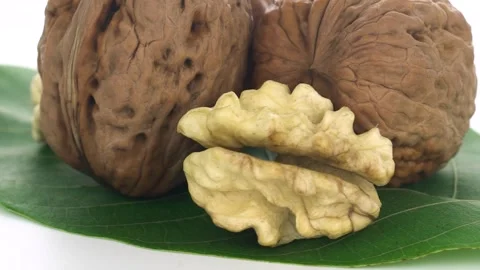 Walnut on a white background 스톡 동영상 213264429