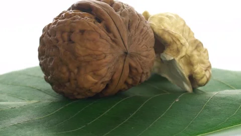 Walnut on a white background 스톡 동영상 213264493