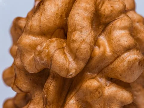 Walnut On A White Background. Nut kernel nut on a white background. Lots of d Stock Photos