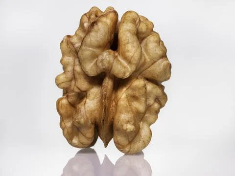Walnut On A White Background. Nut kernel nut on a white background. Lots of d Stock Photos