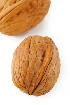 Walnut on white background Stock Photos