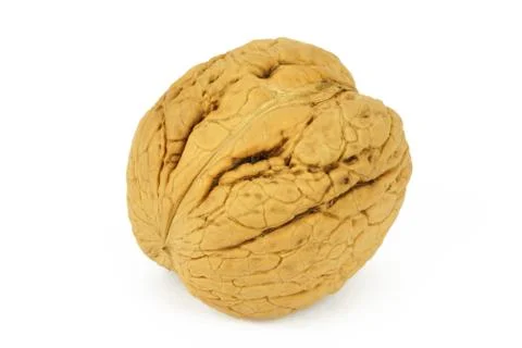Walnut on white background Stock Photos