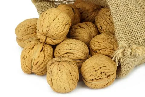 Walnut on white background Stock Photos
