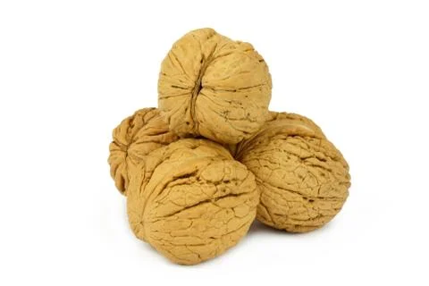 Walnut on white background Stock Photos
