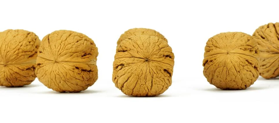 Walnut on white background Stock Photos