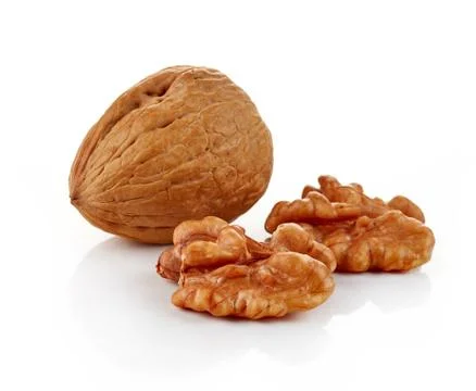 Walnut on white background Stock Photos