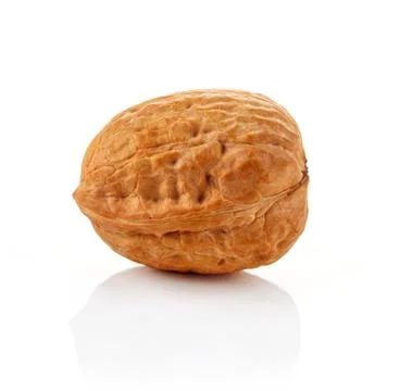 Walnut on white background Stock Photos