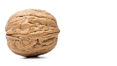 Walnut on white background Stock Photos