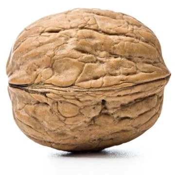 Walnut white background Stock Photos
