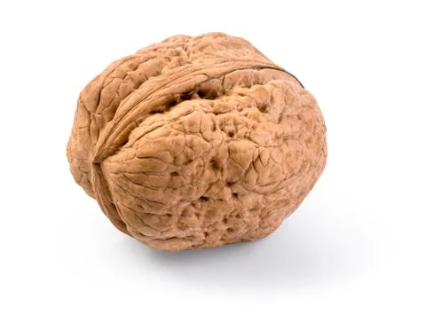 Walnut on white background Stock Photos