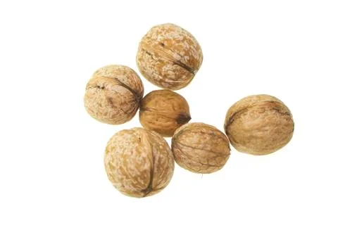 Walnut on a white background. Stock Photos