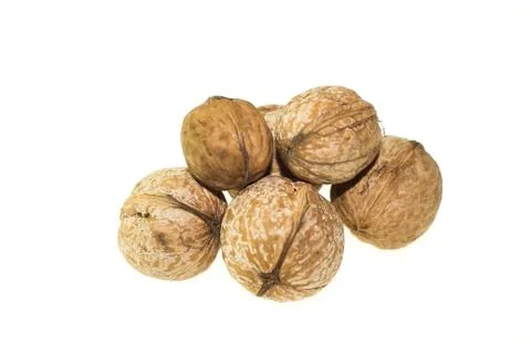 Walnut on a white background. Stock Photos