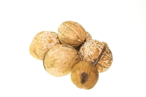 Walnut on a white background. Stock Photos