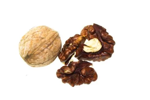 Walnut on a white background. Stock Photos