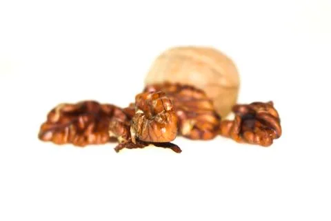Walnut on a white background. Stock Photos