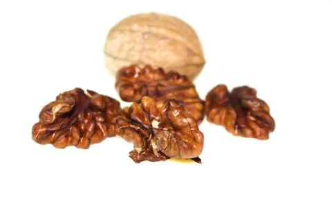 Walnut on a white background. Stock Photos